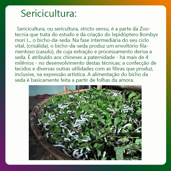 Sericicultura